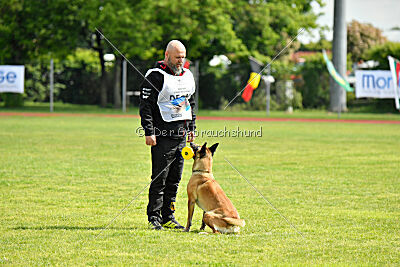 Bondage von Zamonien