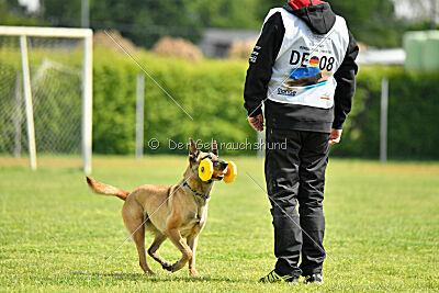 Bondage von Zamonien