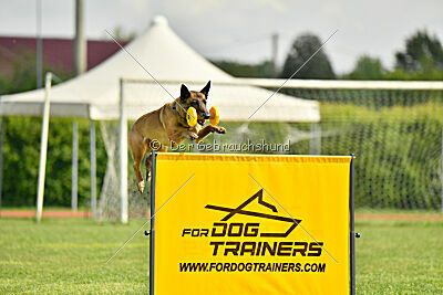 Bondage von Zamonien