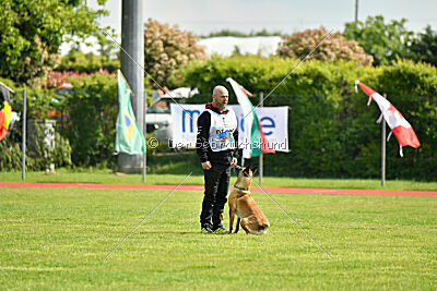 Bondage von Zamonien