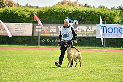 Bondage von Zamonien