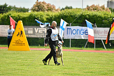 Bondage von Zamonien