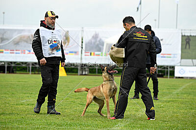 Bondage von Zamonien