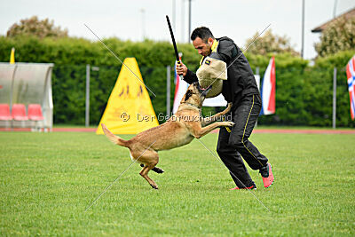 Bondage von Zamonien