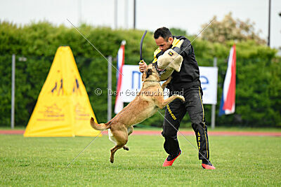 Bondage von Zamonien