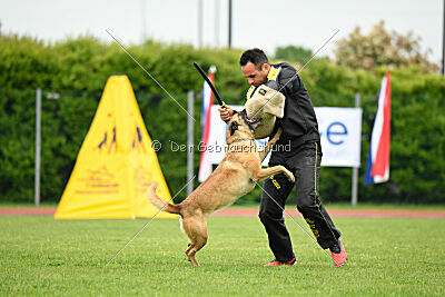 Bondage von Zamonien