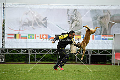 Bondage von Zamonien