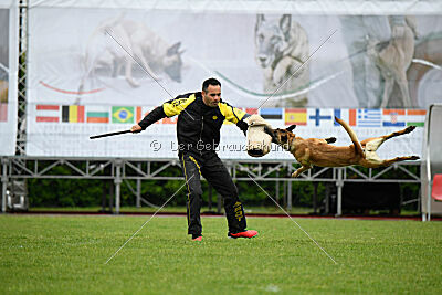 Bondage von Zamonien