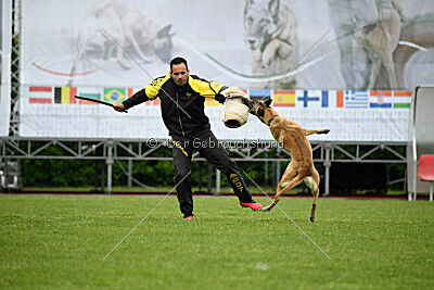 Bondage von Zamonien