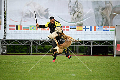 Bondage von Zamonien