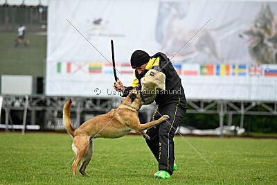 Bondage von Zamonien