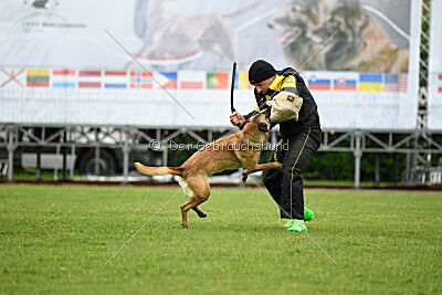 Bondage von Zamonien