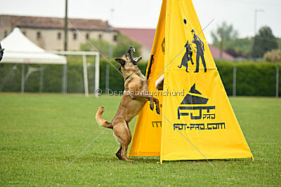 Bondage von Zamonien