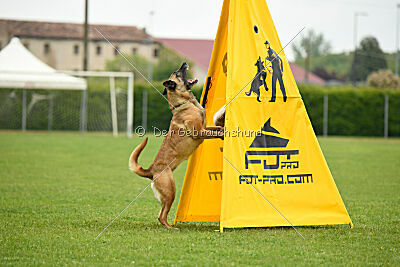 Bondage von Zamonien