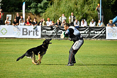 Bono Extreme Arakon Land