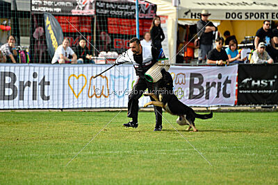 Bono Extreme Arakon Land