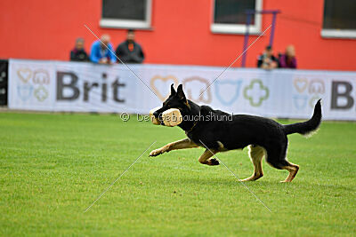 Bono Extreme Arakon Land