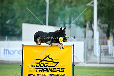 Bono Extreme Arakon Land