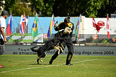 Bono Extreme Arakon Land