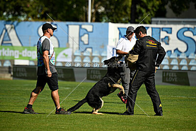 Bono Extreme Arakon Land