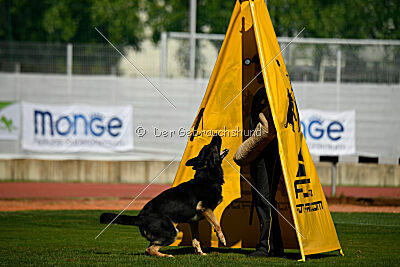 Bono Extreme Arakon Land