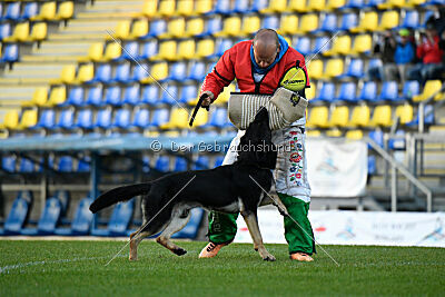 Bono Extreme Arakon Land