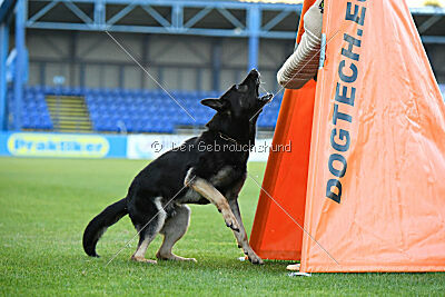 Bono Extreme Arakon Land