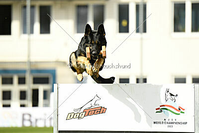 Bono Extreme Arakon Land