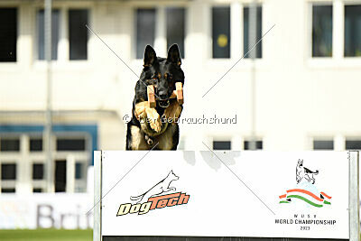 Bono Extreme Arakon Land