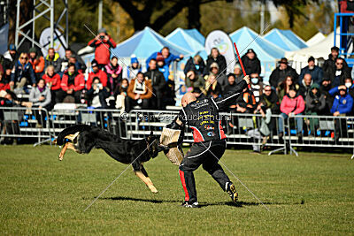 Bono Extreme Arakon Land