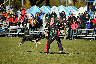 Bono Extreme Arakon Land