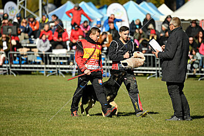 Bono Extreme Arakon Land