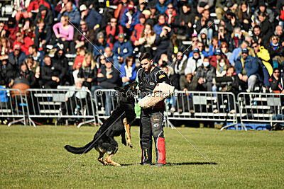 Bono Extreme Arakon Land