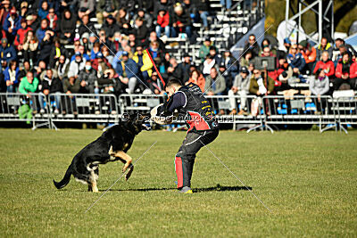 Bono Extreme Arakon Land