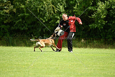 Boomer vom Further Moor