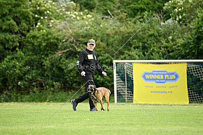 Boomer vom Further Moor