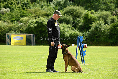 Boomer vom Further Moor