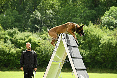 Boomer vom Further Moor