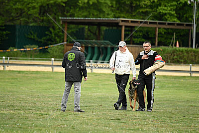 Boomer vom Further Moor