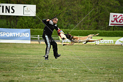 Boomer vom Further Moor
