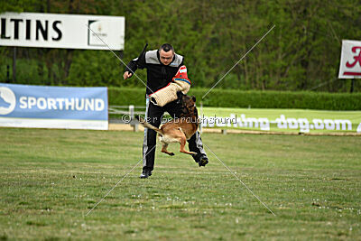 Boomer vom Further Moor