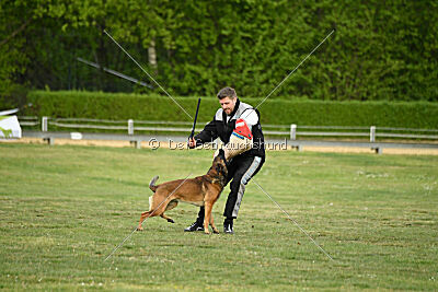 Boomer vom Further Moor