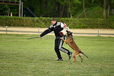 Boomer vom Further Moor