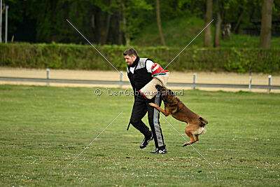 Boomer vom Further Moor