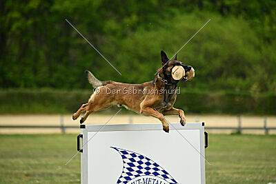 Boomer vom Further Moor