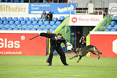 Boomer vom Wolfsdreieck