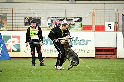 Boomer vom Wolfsdreieck