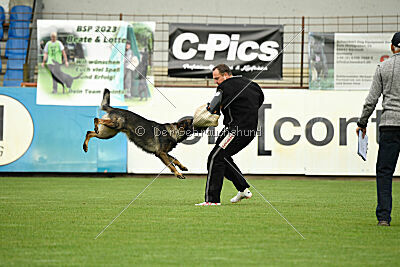 Boomer vom Wolfsdreieck