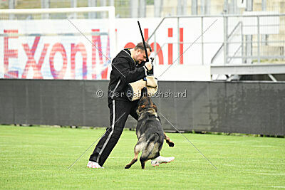 Boomer vom Wolfsdreieck