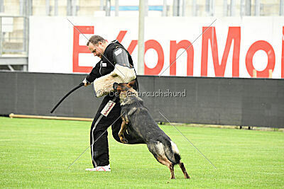 Boomer vom Wolfsdreieck
